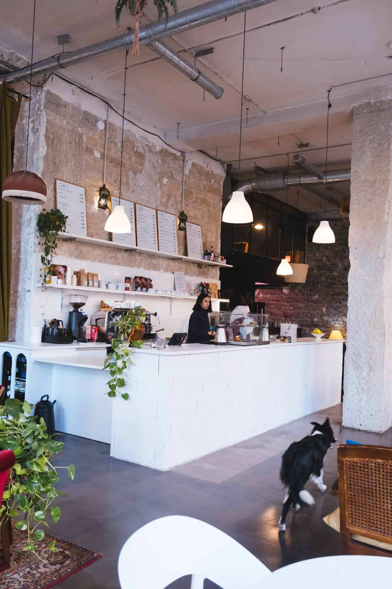 Ballad Café - Lyon 7